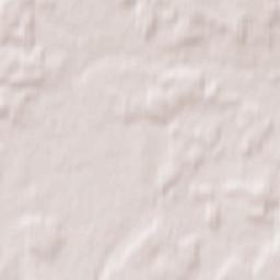 Astravyets Terrain Map