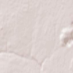 Krasnogorskiy Terrain Map