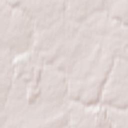 Dubrowna Terrain Map
