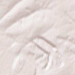 Staropesterevo Terrain Map