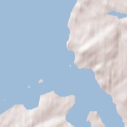 Portaferry Terrain Map