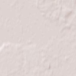 Braniewo Terrain Map