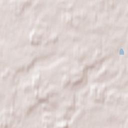 Neukirchen Terrain Map