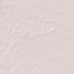 Pruszcz Gdański Terrain Map