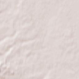 Pszczółki Terrain Map