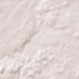 Lidzbark Warmiński Terrain Map