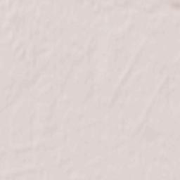 Novaya Mayna Terrain Map