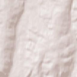 Kamyshla Terrain Map