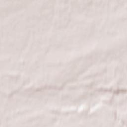 Pasłęk Terrain Map