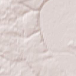 Chekalin Terrain Map