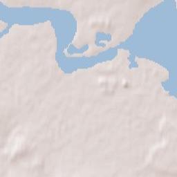 Novomichurinsk Terrain Map