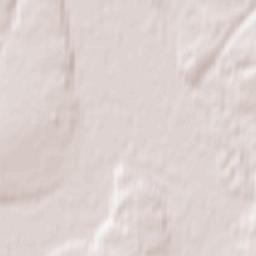 Kozel’skiy Rayon Terrain Map