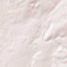 Zalesovo Terrain Map