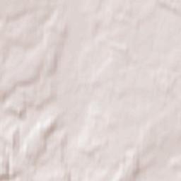 Dzierzgoń Terrain Map