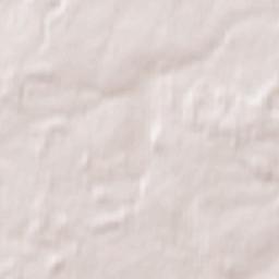 Rognedino Terrain Map