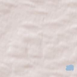 Roscommon Terrain Map