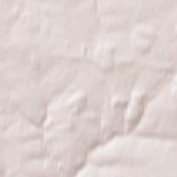 Arsen’yevo Terrain Map
