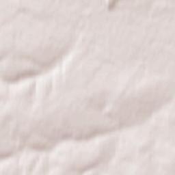 Zarechnyy Terrain Map