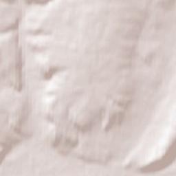 Buguruslan Terrain Map