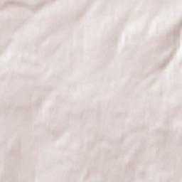 Bizhbulyak Terrain Map