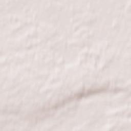 Sibirskiy Terrain Map