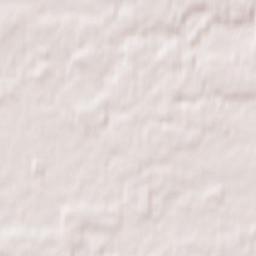 Borovikha Terrain Map