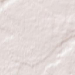 Zudilovo Terrain Map