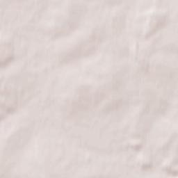 Khvastovichi Terrain Map