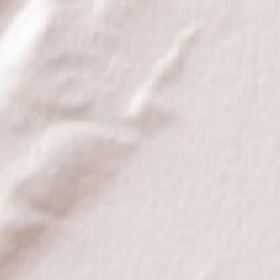 Manzurka Terrain Map