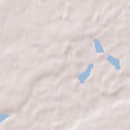 Radzyń Chełmiński Terrain Map