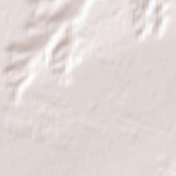 Shelabolikhinskiy Rayon Terrain Map