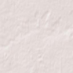 Novoaltaysk Terrain Map