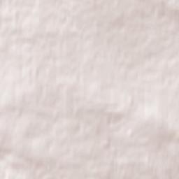 Cowboy Trail, Entwistle, AB T0E 0S0 Terrain Map