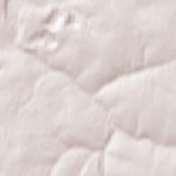 Kazachka Terrain Map