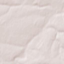 Znamenskoye Terrain Map