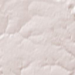 Putëvka Terrain Map