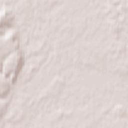 Gorod Bryansk Terrain Map