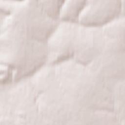 Pachelma Terrain Map