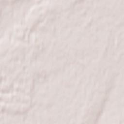 Chemodanovka Terrain Map