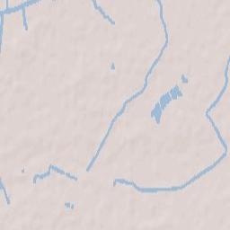 Augustinusga Terrain Map
