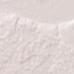 Dąbrowa Chełmińska Terrain Map