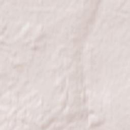 Zarechnyy Terrain Map