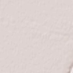 Novoishimskiy Terrain Map