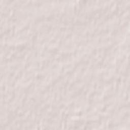 Township Road 490, Millet, AB T0C 1Z0 Terrain Map