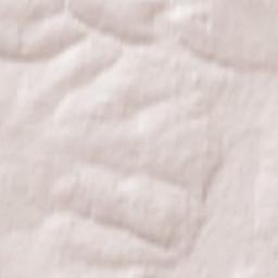 Yefremov Terrain Map
