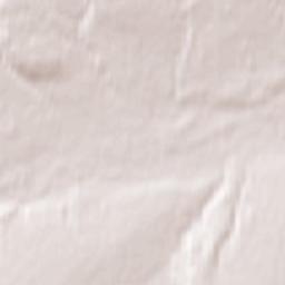 Novospasskoye Terrain Map