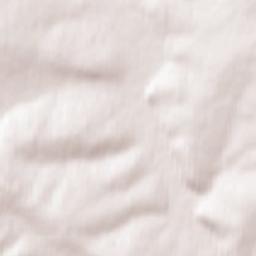 Zalarinskiy Rayon Terrain Map