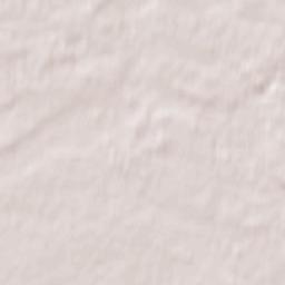 Lubowidz Terrain Map