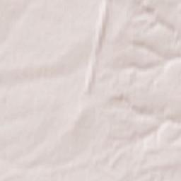 Vygonichskiy Rayon Terrain Map