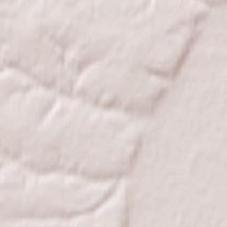 Vygonichi Terrain Map